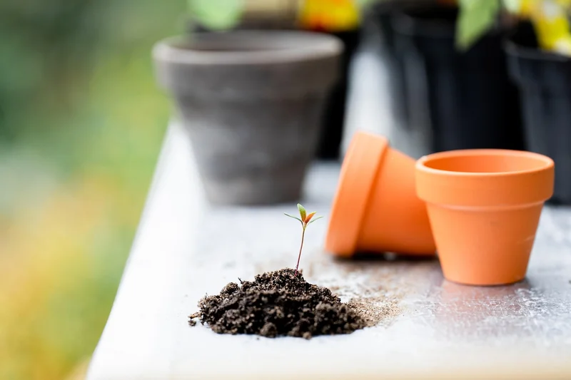 Les outils et méthodes clés du jardinage écologique