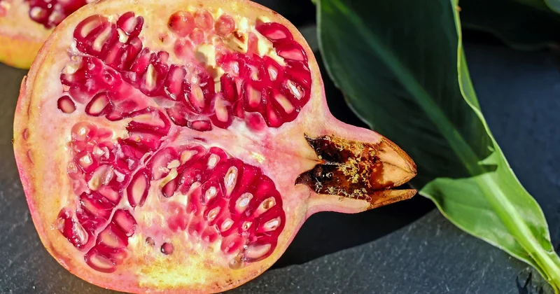 Comment faire pousser des fraises à partir du fruit ou des graines