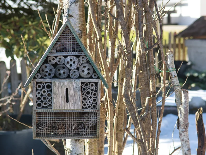 Les 5 catégories de matériaux écologiques à connaître