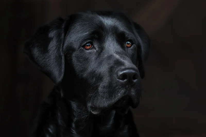Les fourchettes de prix en 2026