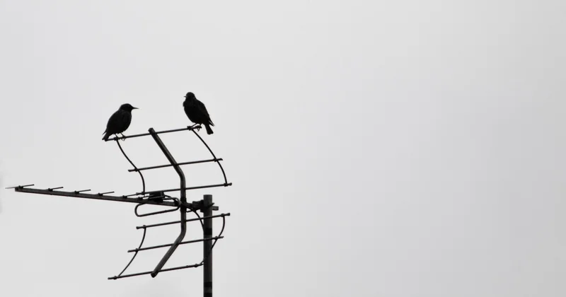 Comment augmenter la qualité du signal TNT ?