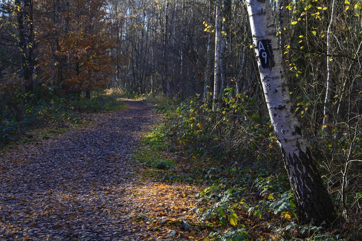 Pourquoi lancer une coopérative en 2026 ? L’opportunité est unique