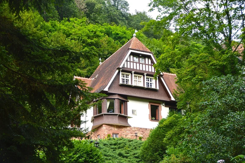 Le vert forêt : le retour du naturel sur les façades