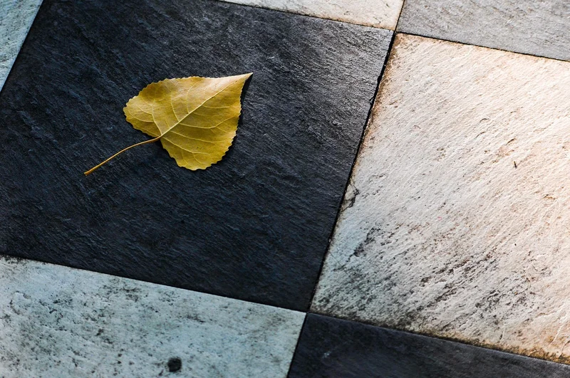 Les 3 erreurs que j'ai commises sur la hauteur du carrelage (et comment les éviter)
